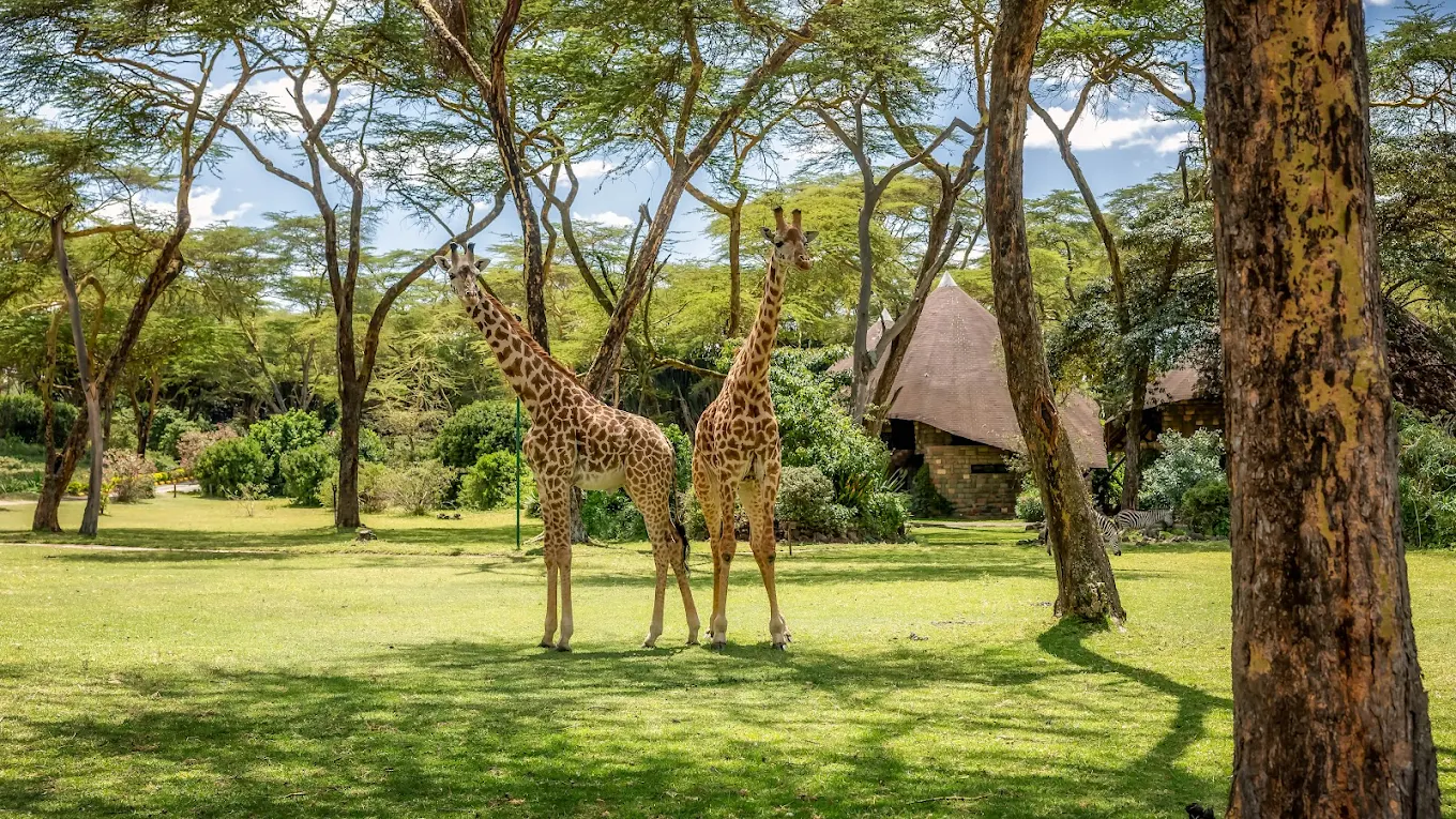 Lake Naivasha Sopa Resort - Naivasha hotel view 4